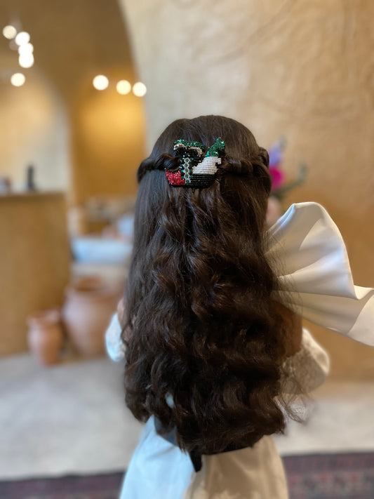 HAIR CLIP 01